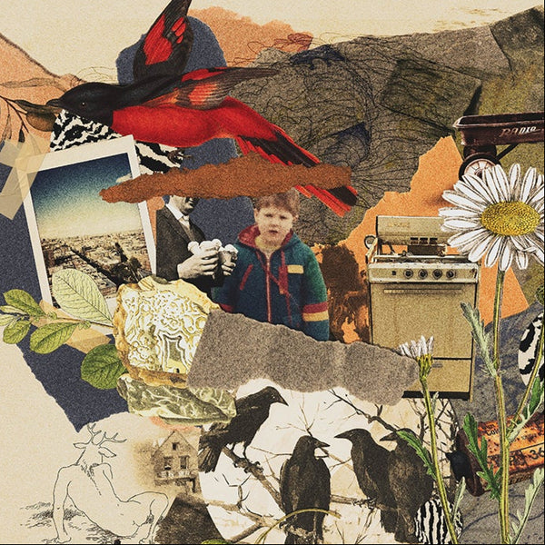 Curtis Nowosad's Noisy World